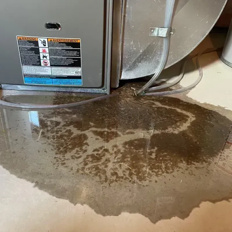 Appliance Leak Cleanup in Deatsville, AL